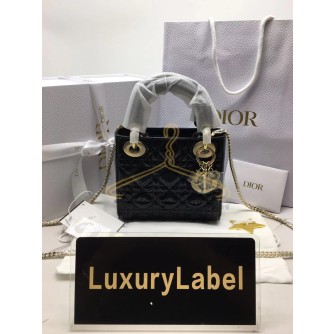 디올 레이디백 미니 (카프스킨)