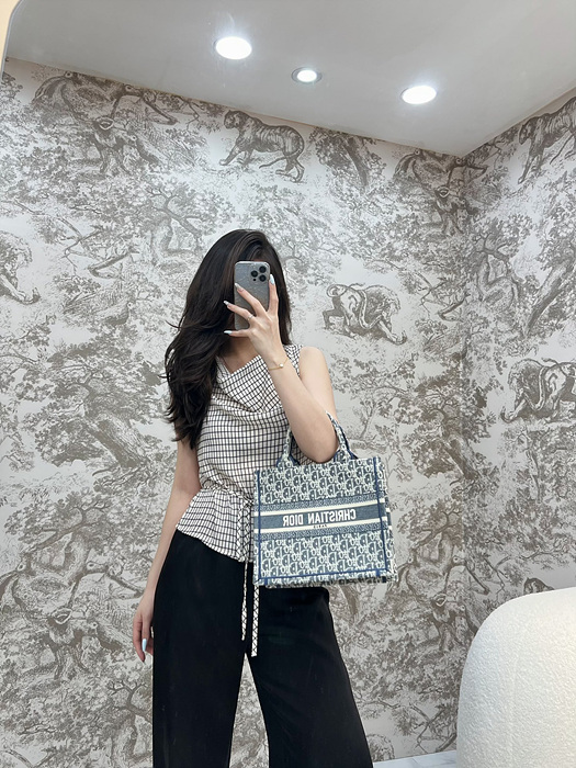 디올 북토트백 스몰 샴브레이