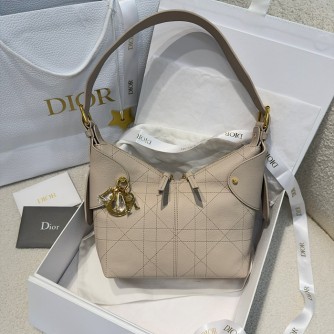 디올 보야지 voyage 스몰 백